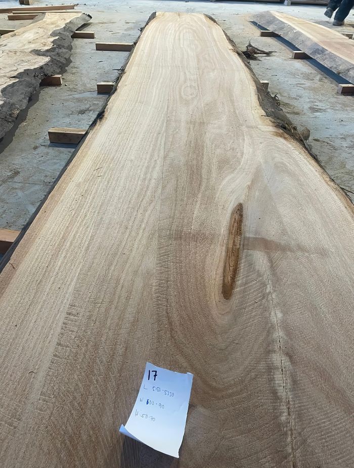 blackbutt-slab-17-2nd-pic-2.jpg