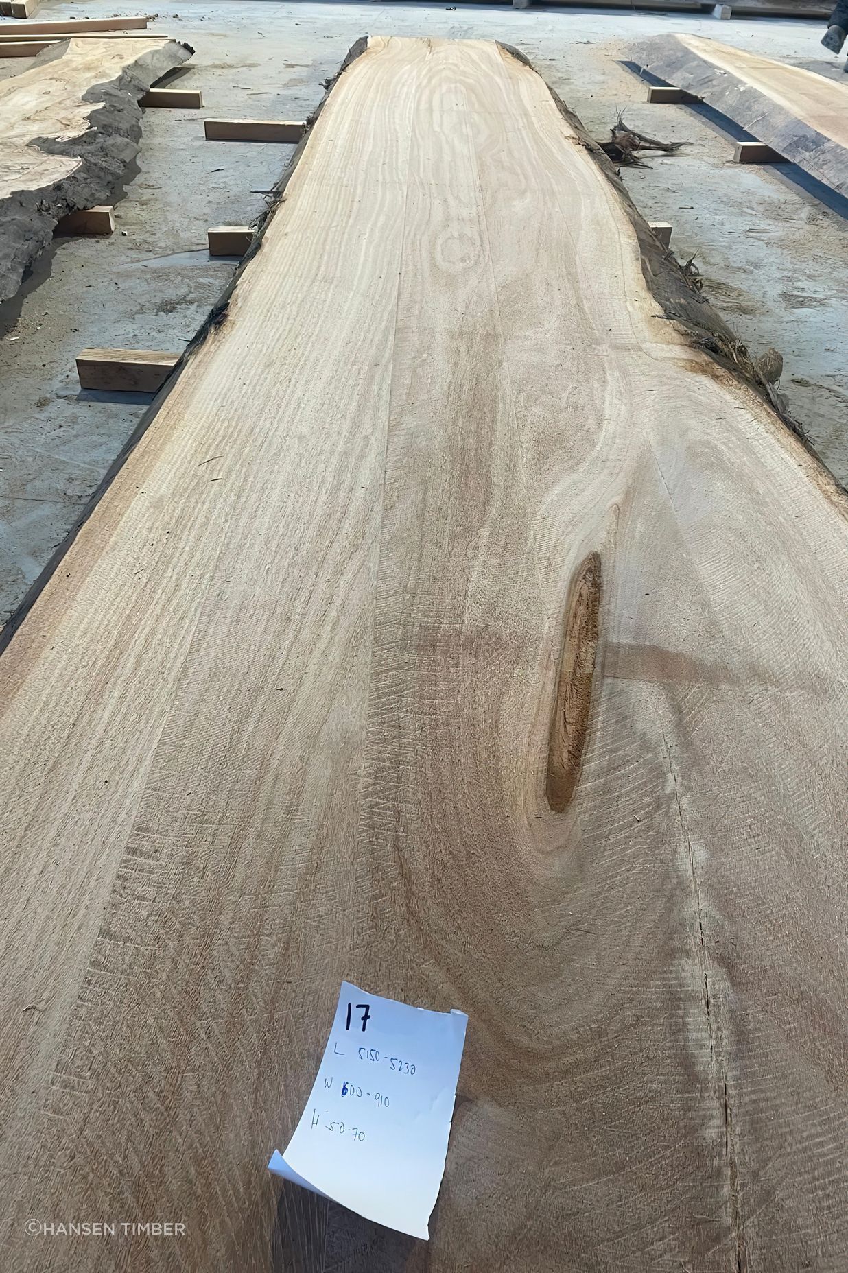 blackbutt-slab-17-2nd-pic-2.jpg