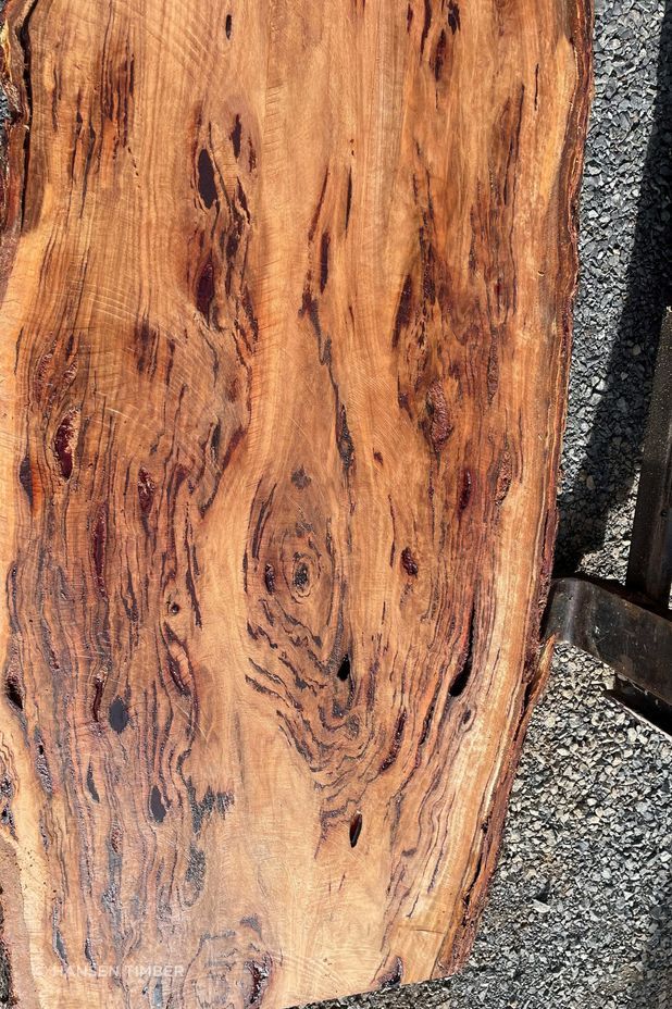 blackbutt-timber-close-up-image-of-timber-1.jpeg
