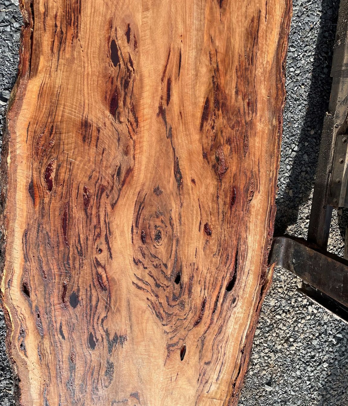 blackbutt-timber-close-up-image-of-timber-1.jpeg