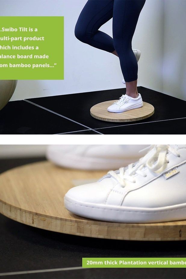 Swibo Tilt – gamifying injury rehab!