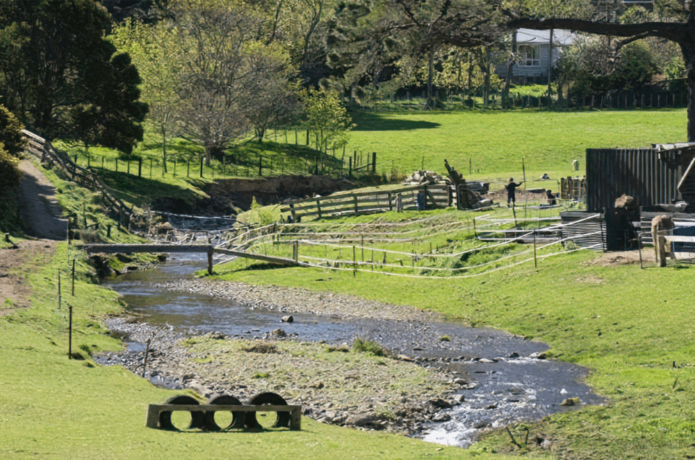 If you want to make the most of your rural setting, you need to think about landscaping from day one.
