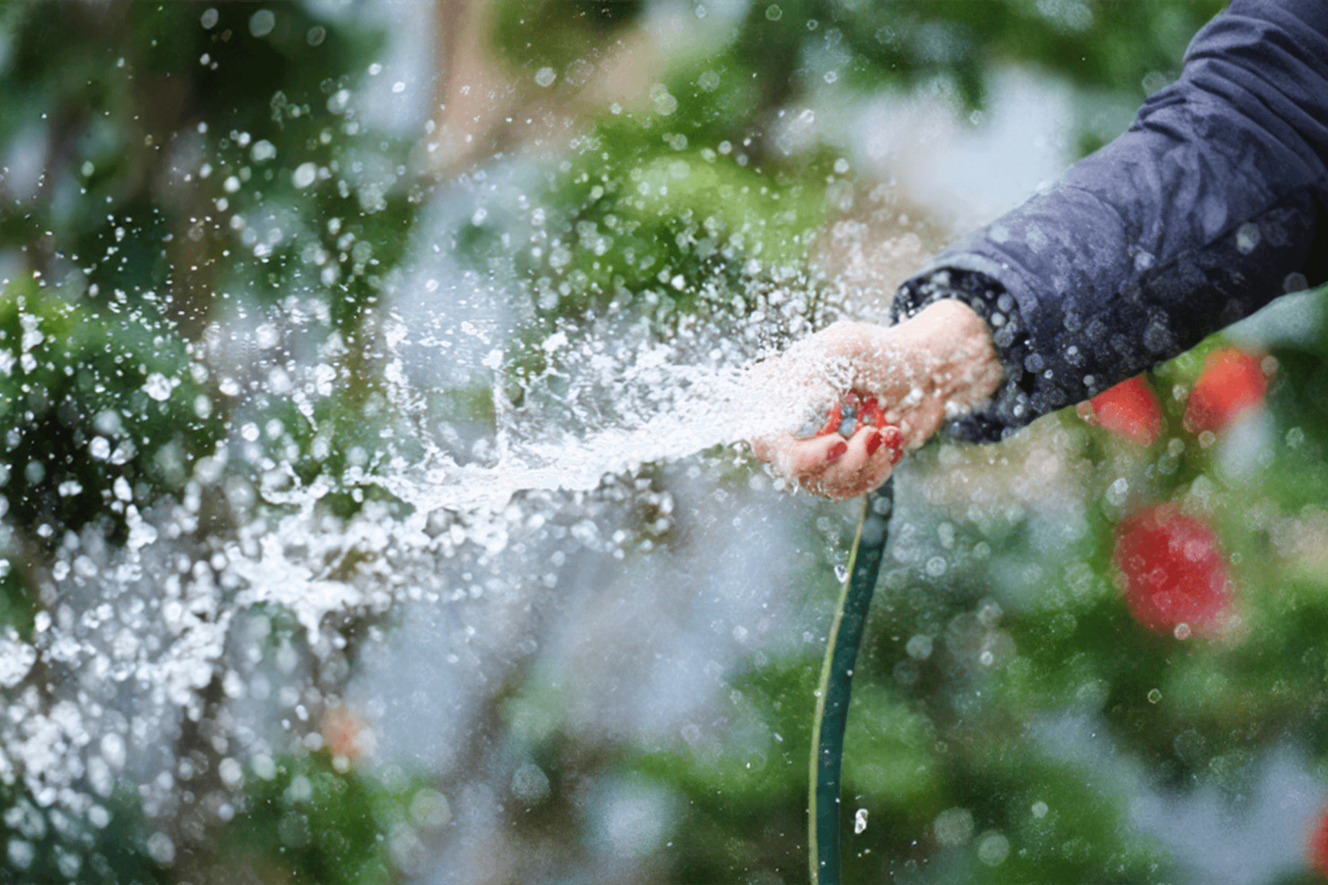 Whatever you plant, you're going to need water.