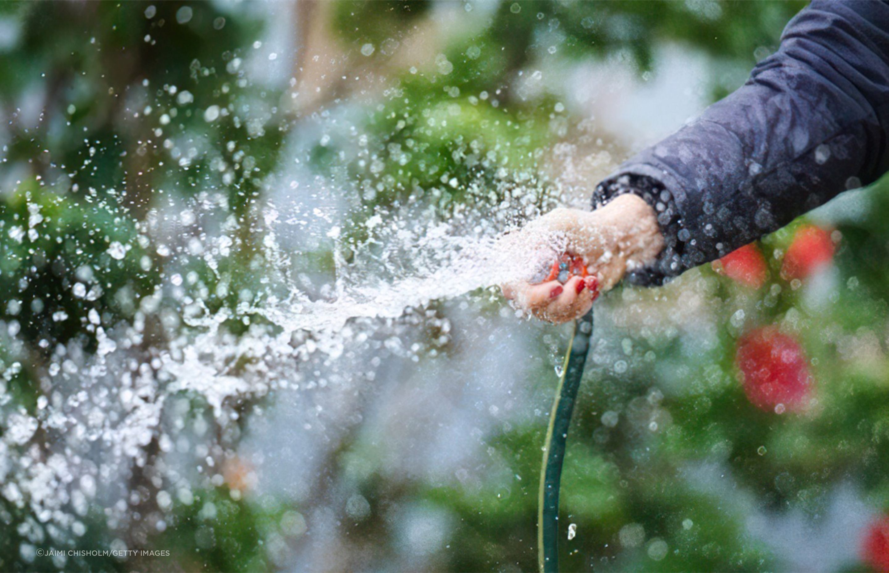 Whatever you plant, you're going to need water.