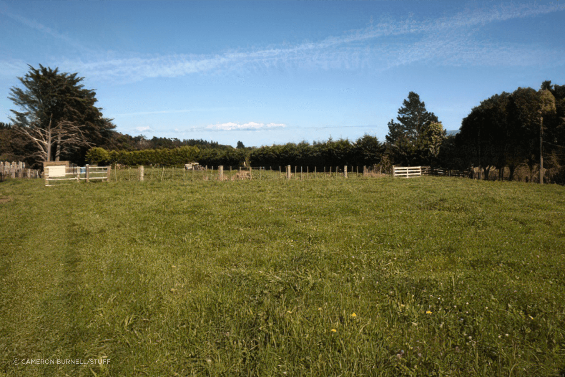 When you're trying to decide what trees to plant, consider your soil and the conditions.