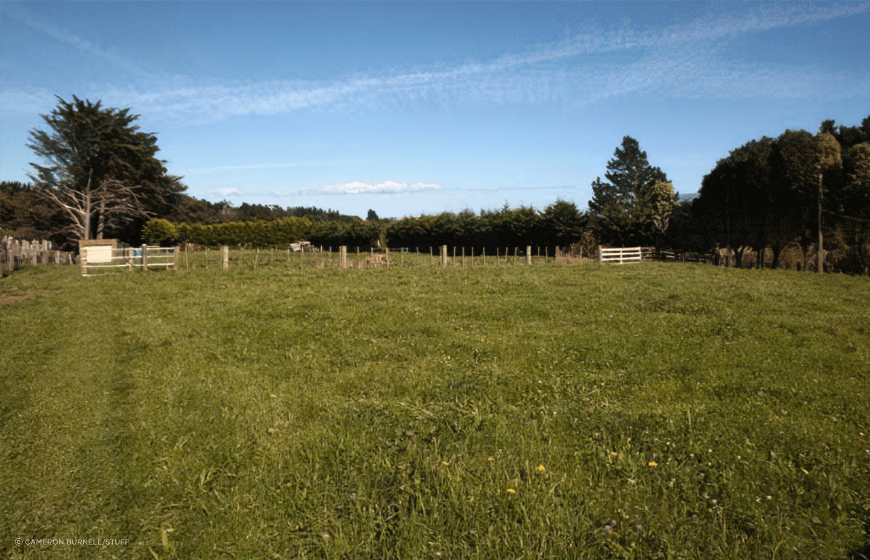 When you're trying to decide what trees to plant, consider your soil and the conditions.