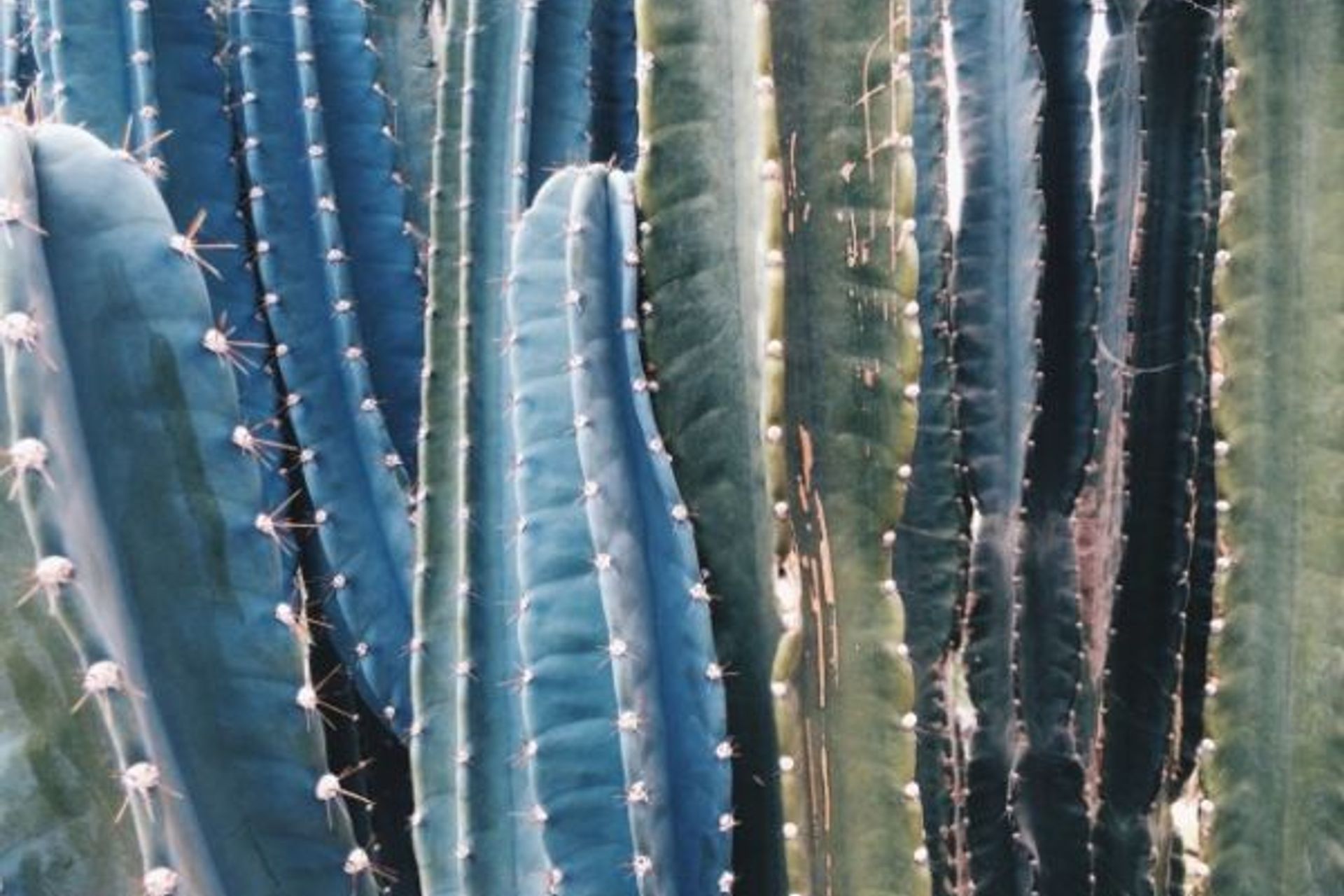 How To Make Your Landscaping Work For You