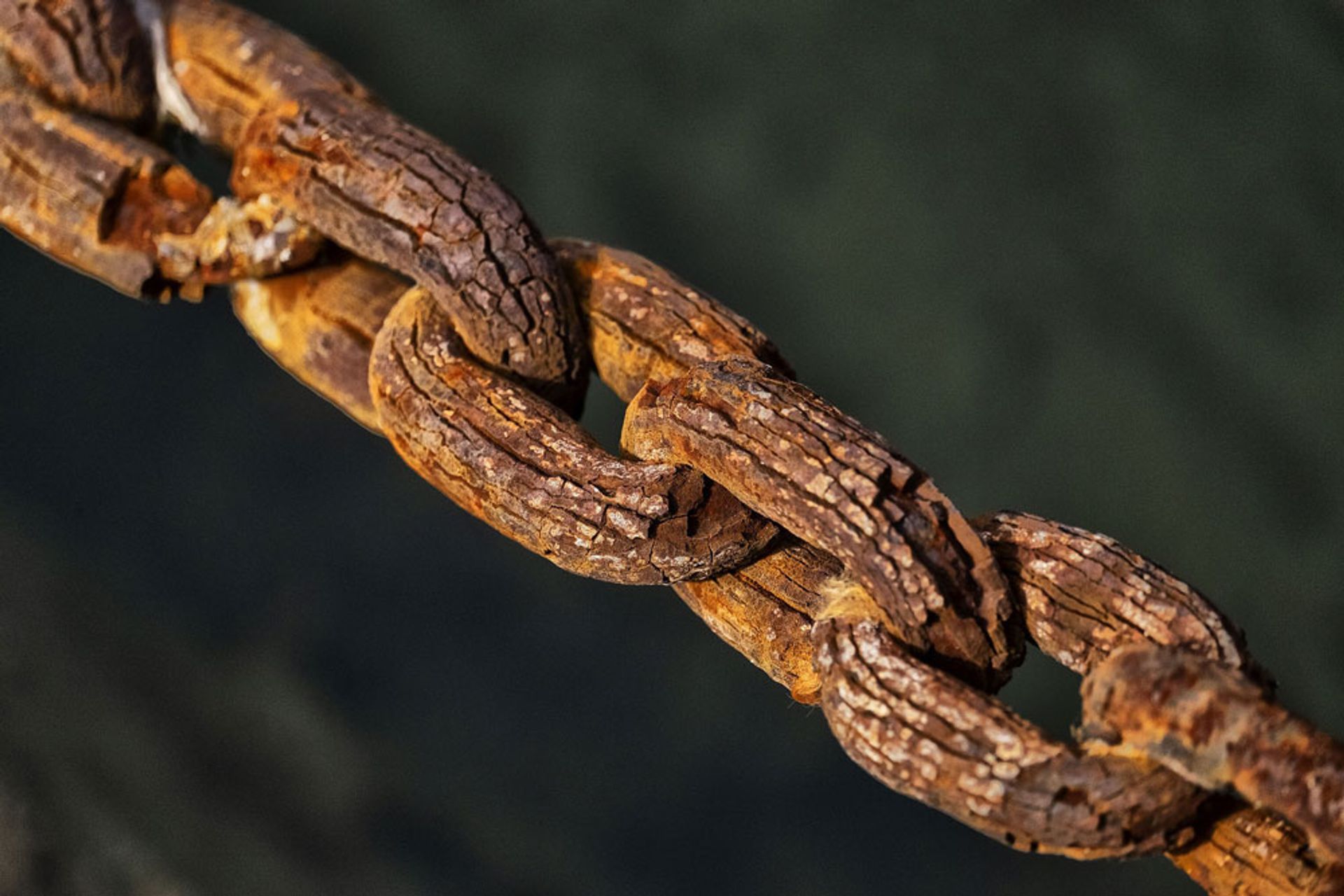 Predictors of Lifespan and Ways to Increase Longevity of Steel Garden Edging