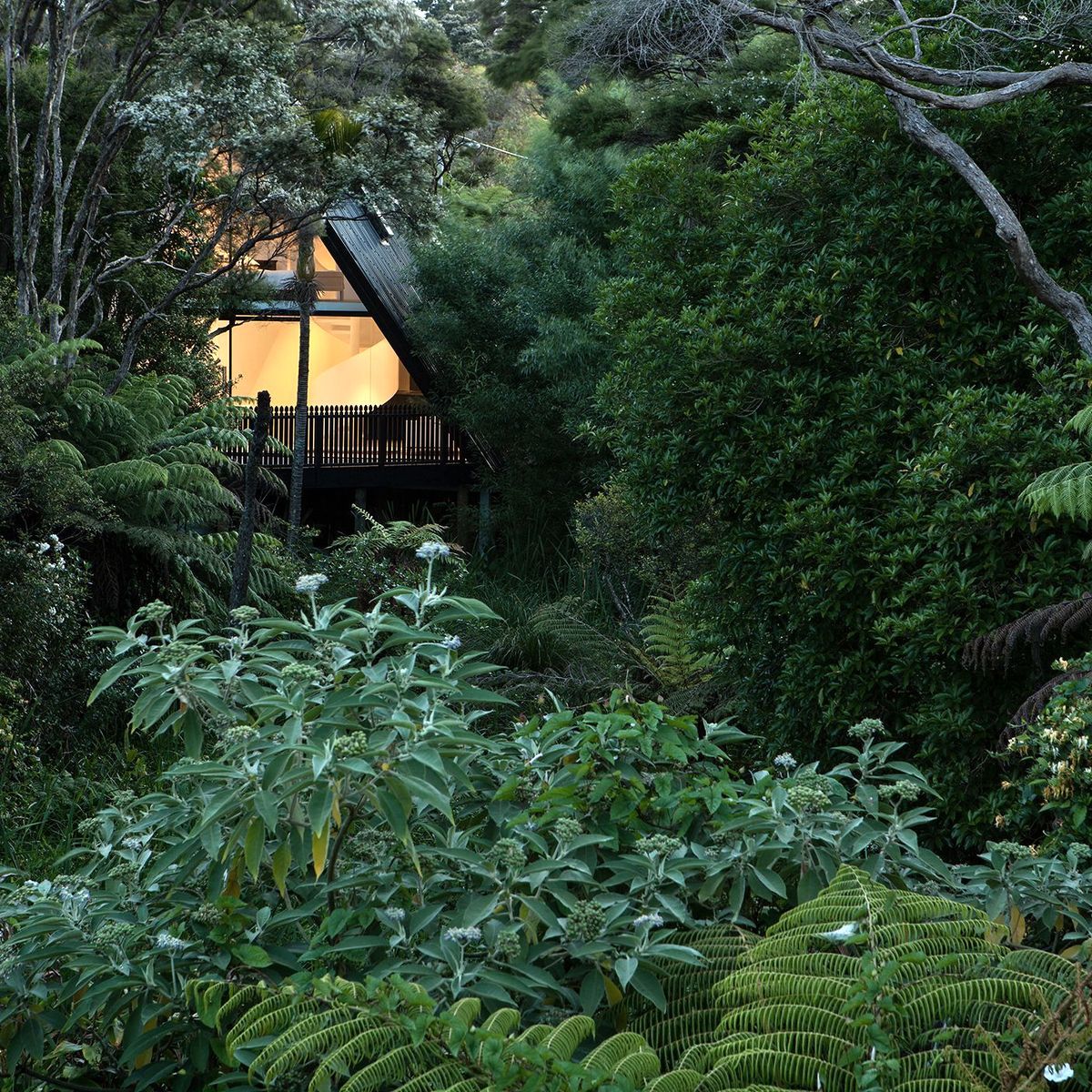 Island life: four of the best modern Kiwi beach houses