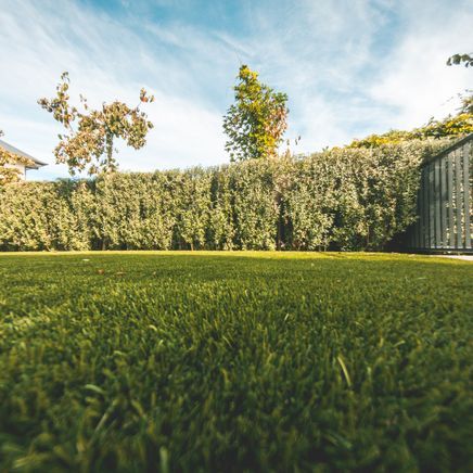 The grass is always greener...