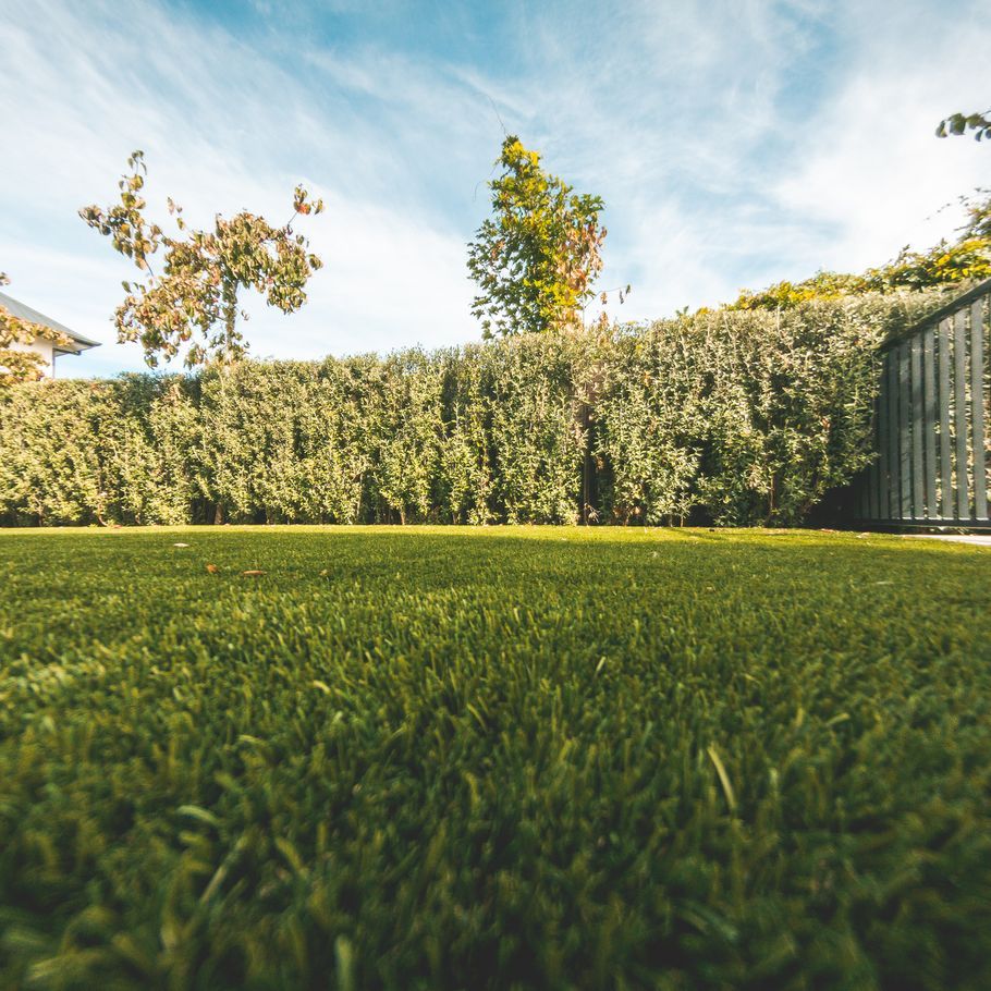 The grass is always greener...