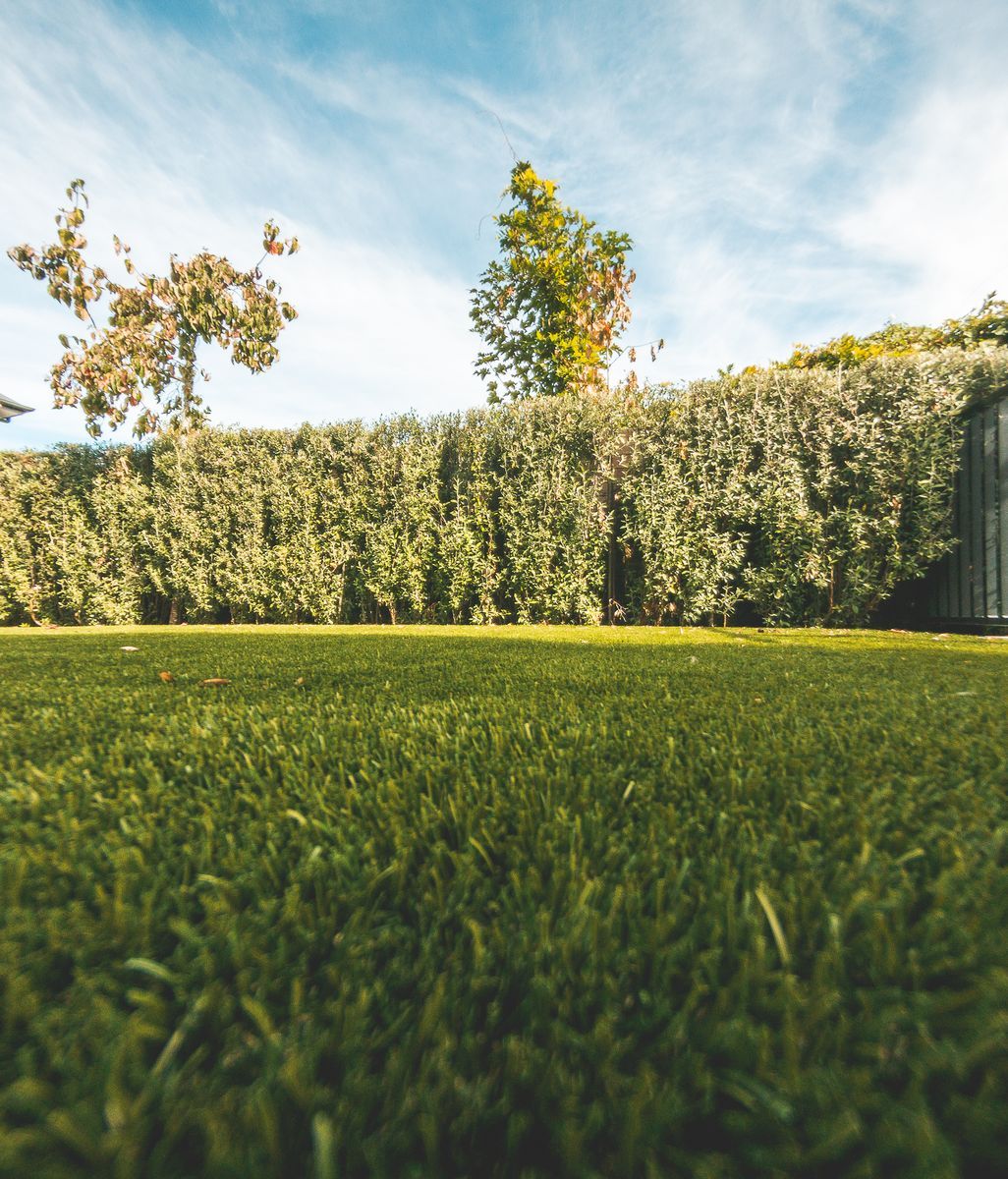 The grass is always greener...