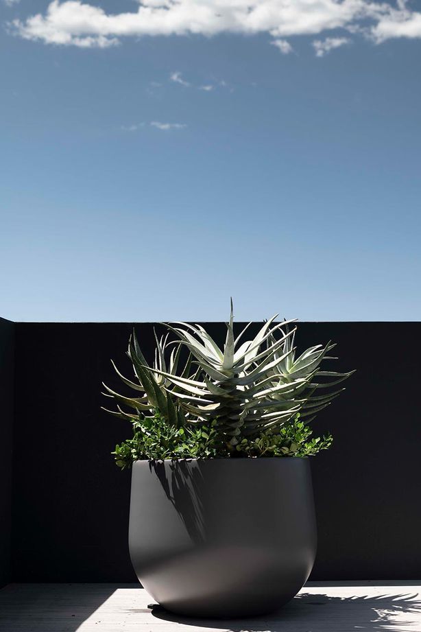 Potted plants of all sizes work well in front gardens