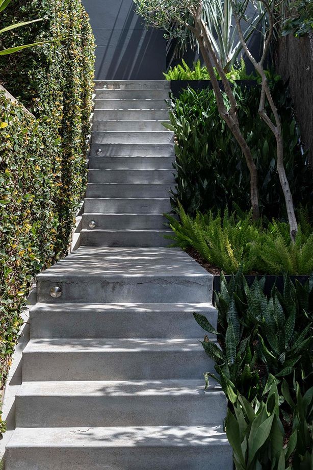 Fresh plants and a well maintained hedgerow look great side by side this garden staircase