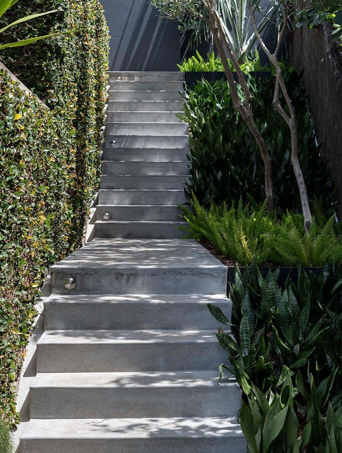 Fresh plants and a well maintained hedgerow look great side by side this garden staircase