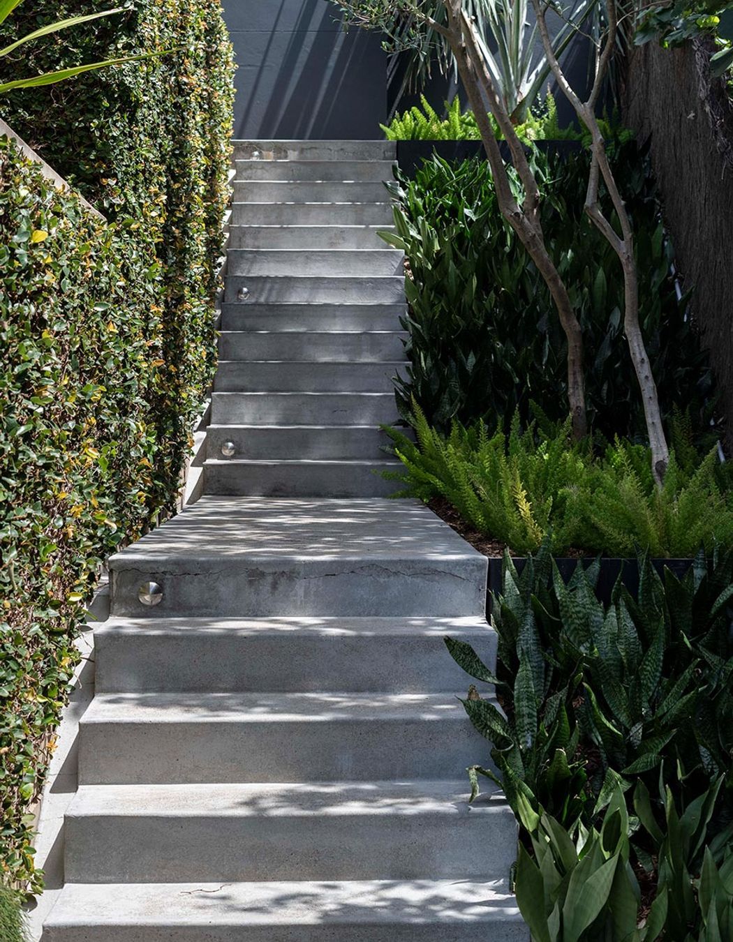Fresh plants and a well maintained hedgerow look great side by side this garden staircase