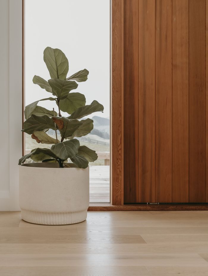 completeflooringdec2022-28.jpg