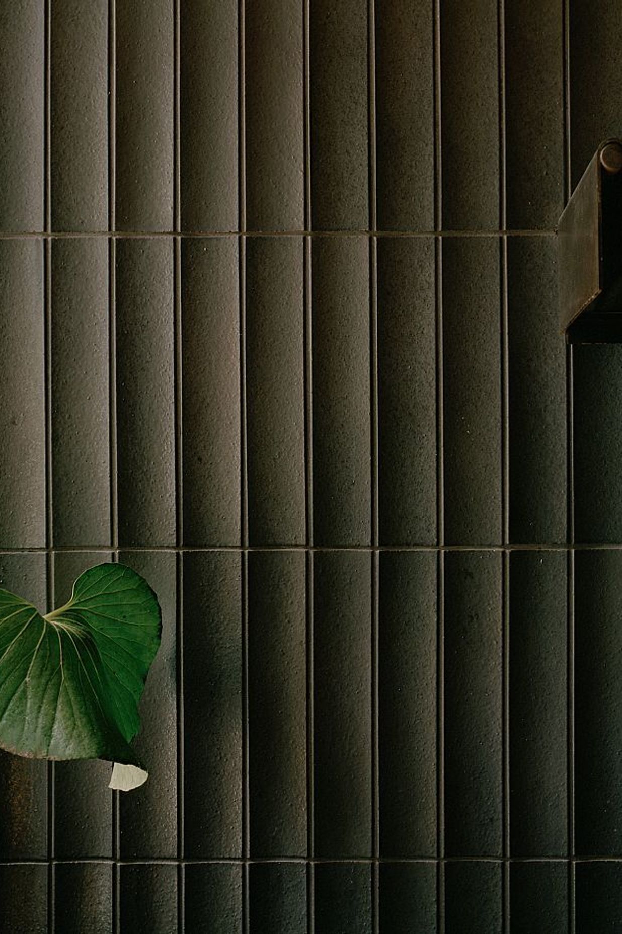 Custom Wakai Tajimi scalloped tiles on kitchen wall. Kew Residence by John Wardle Architects