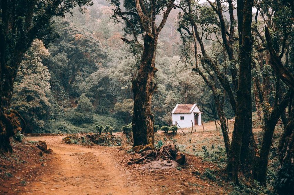 Tiny Houses and the Future of Young People