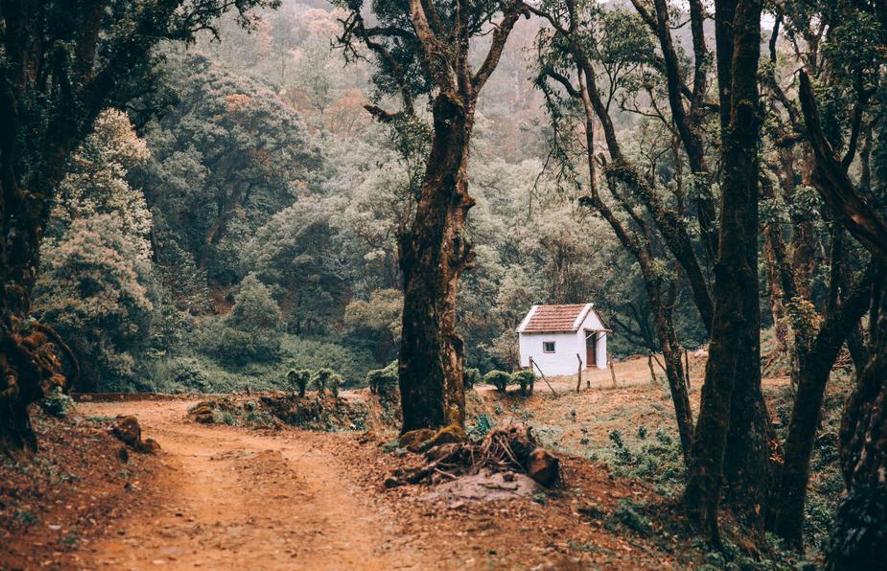 Tiny Houses and the Future of Young People