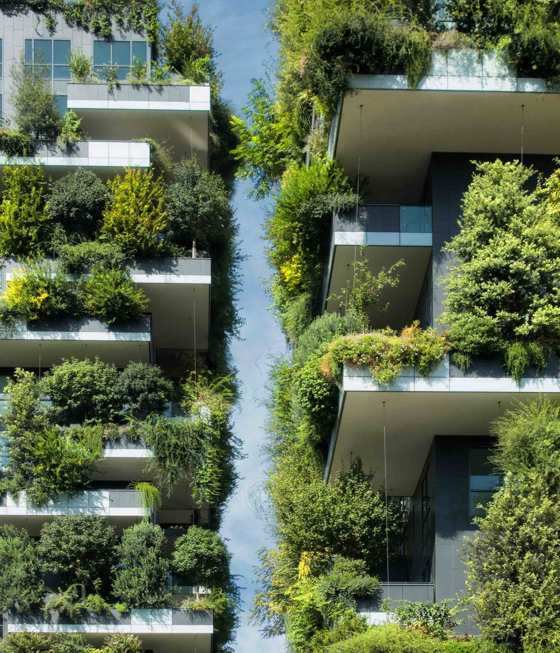What will the cities of the future be like?