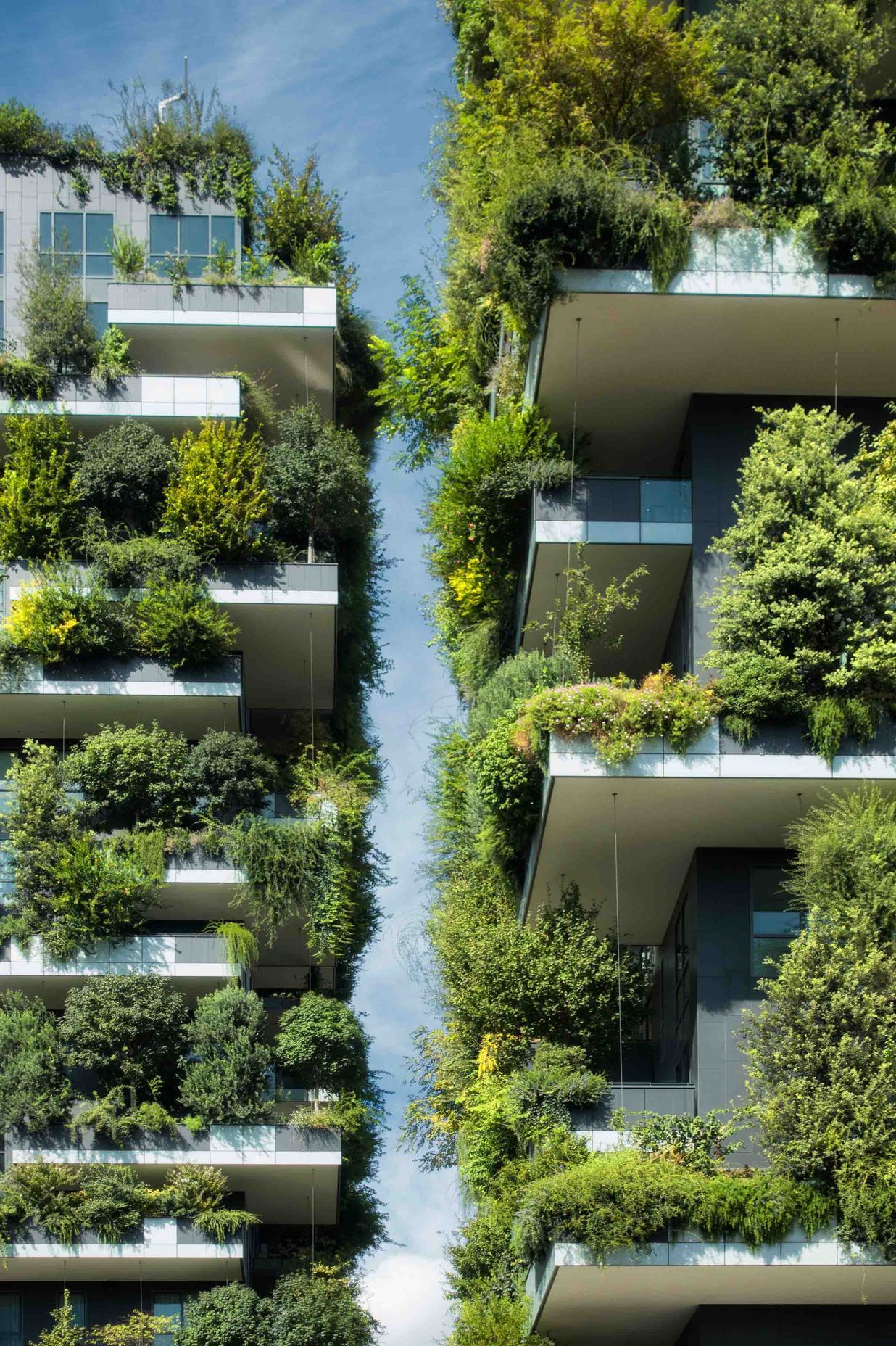 What will the cities of the future be like?