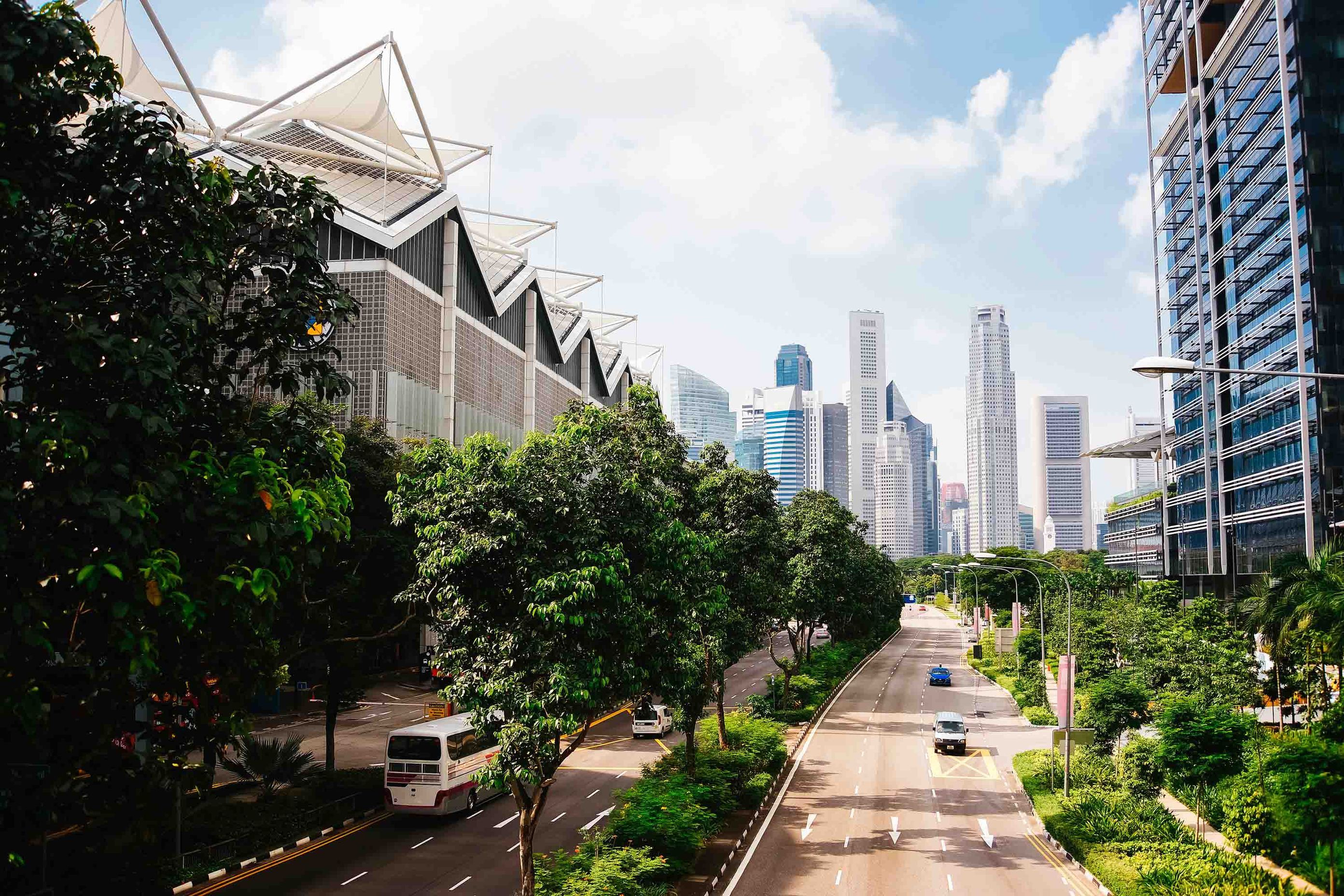 What will the cities of the future be like?
