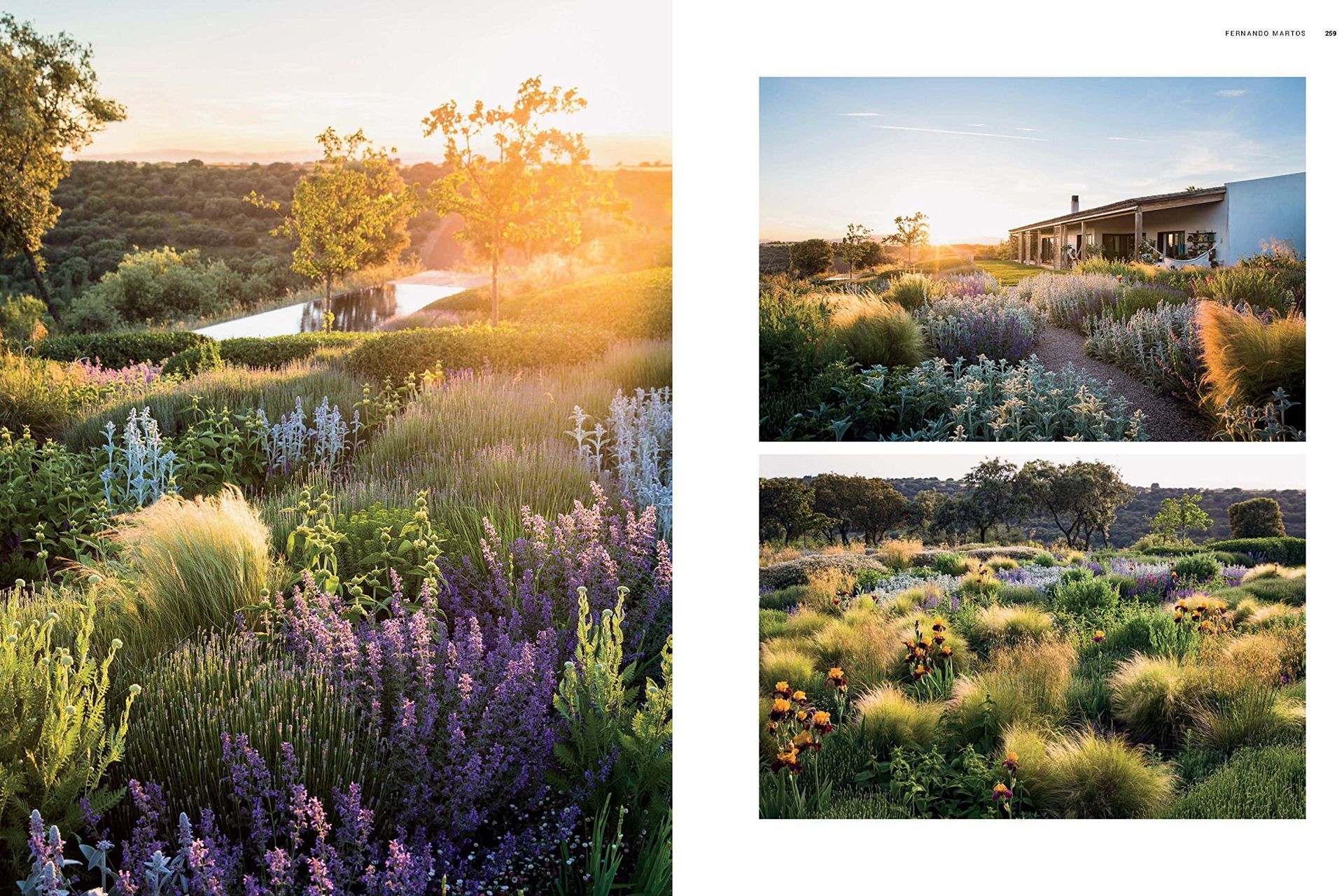 Double duty: architecture and design coffee table books that combine style with substance