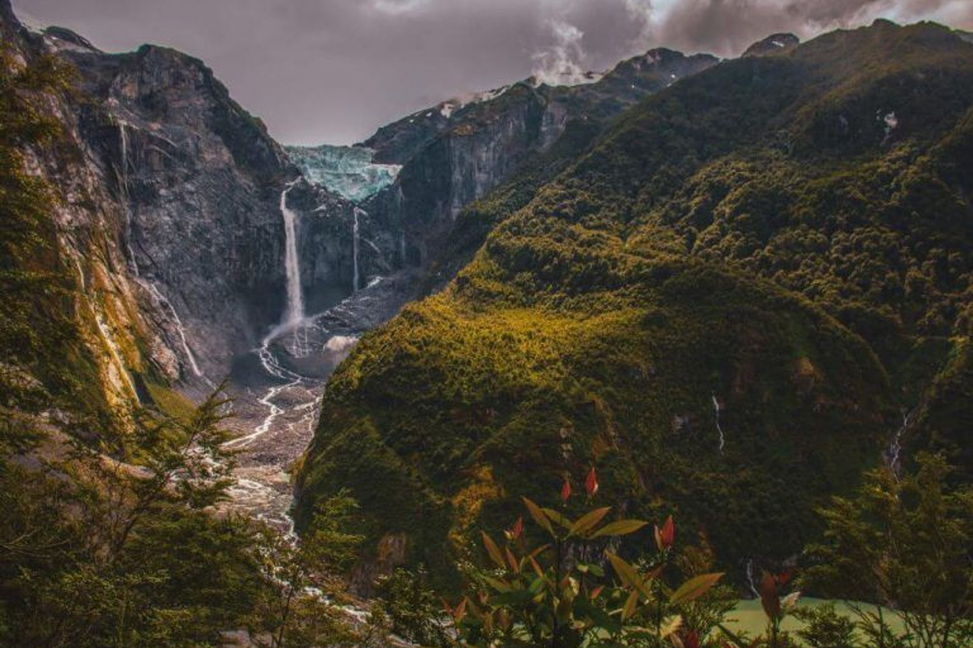 Forests have helped me to connect with mother nature since my very first track