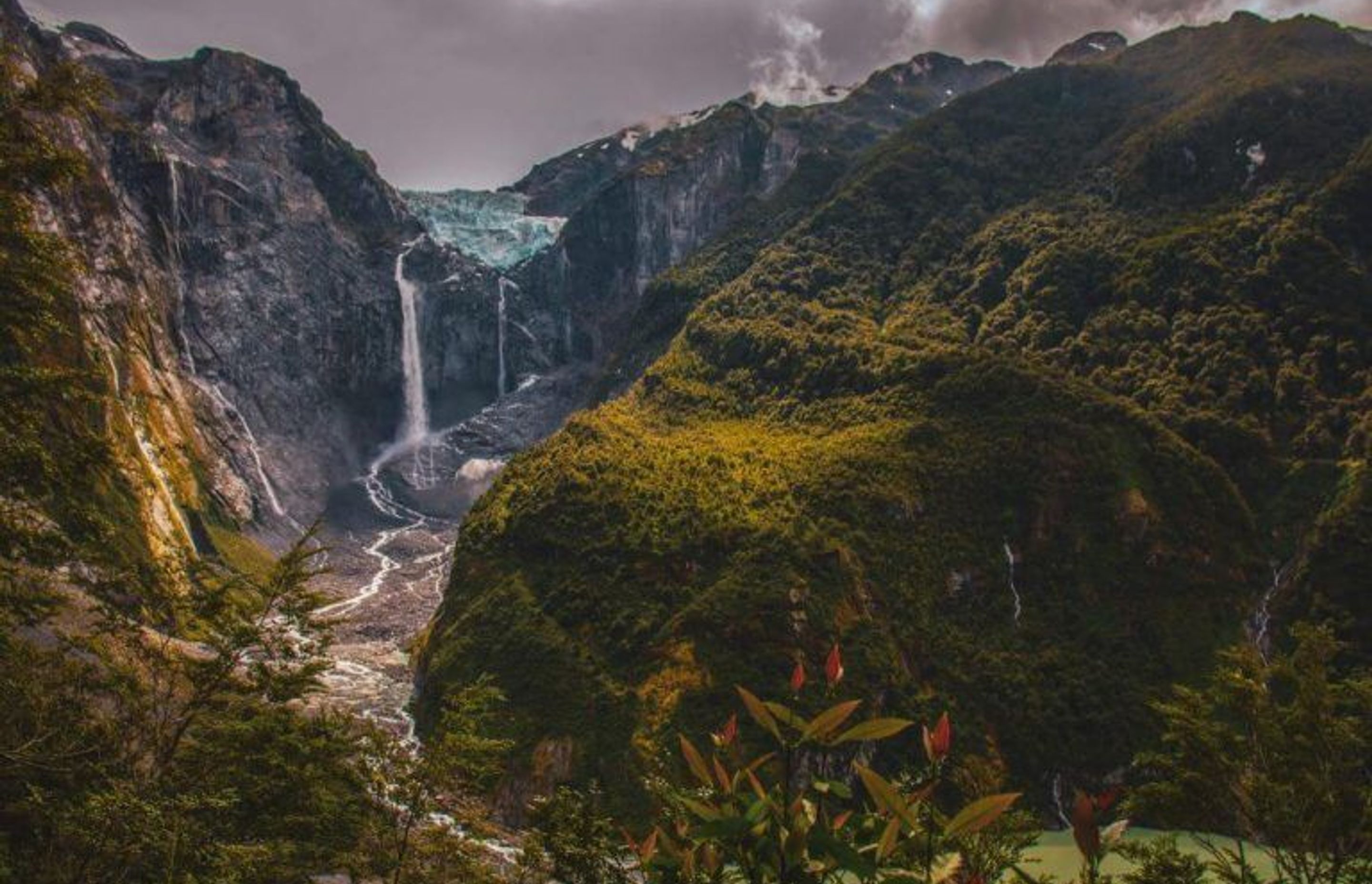 Forests have helped me to connect with mother nature since my very first track
