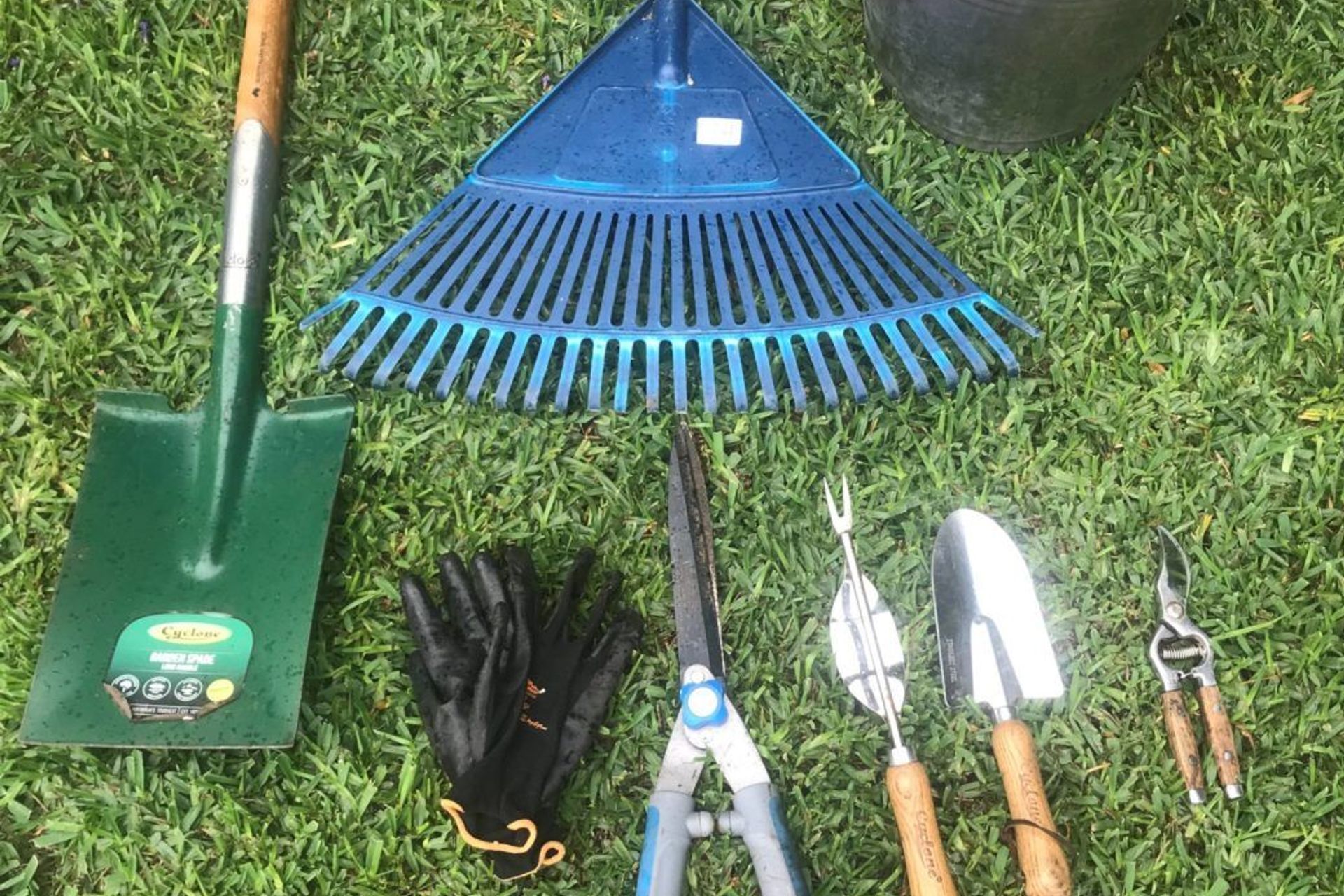 Gardening during Isolation
