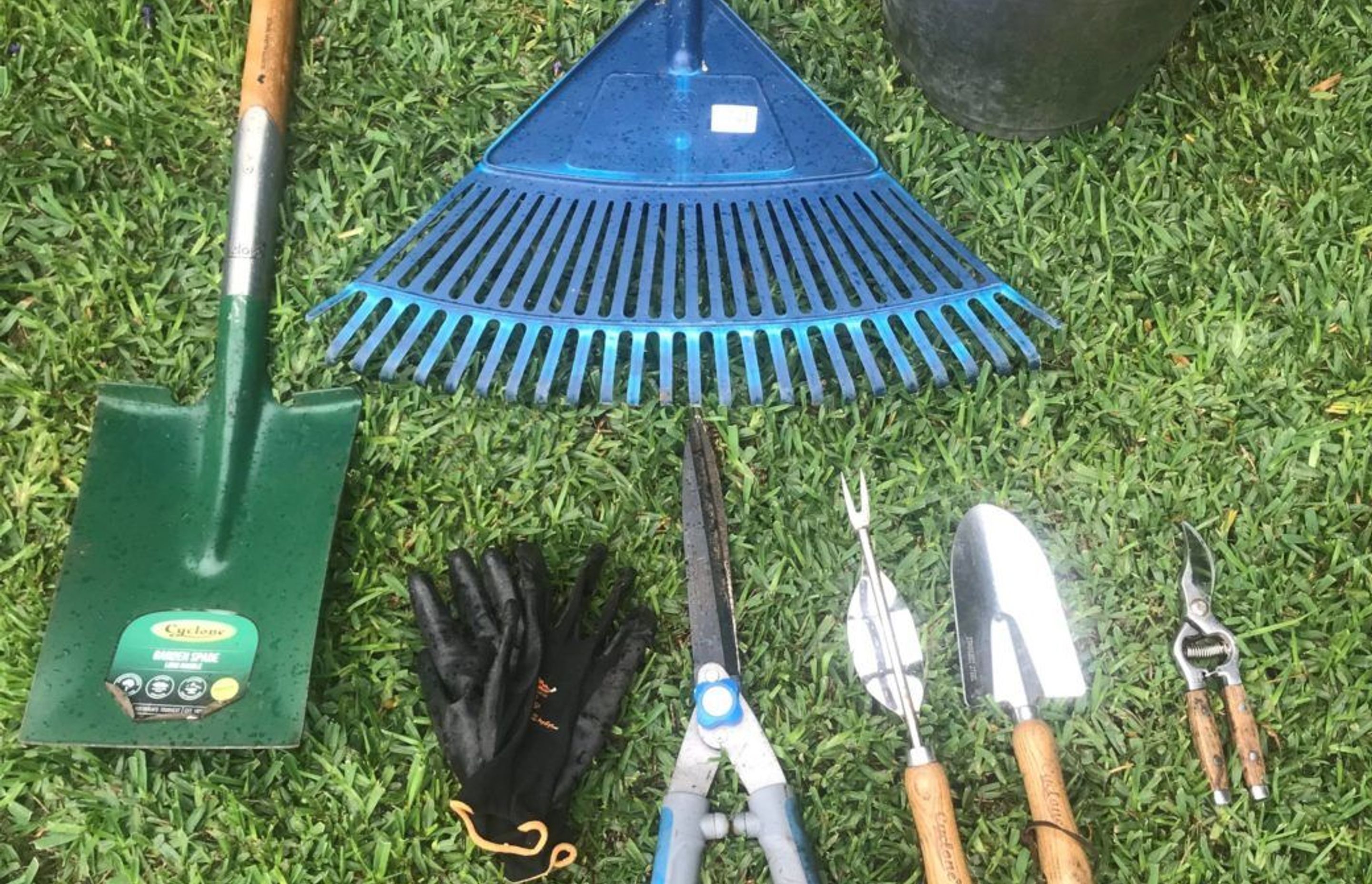Gardening during Isolation