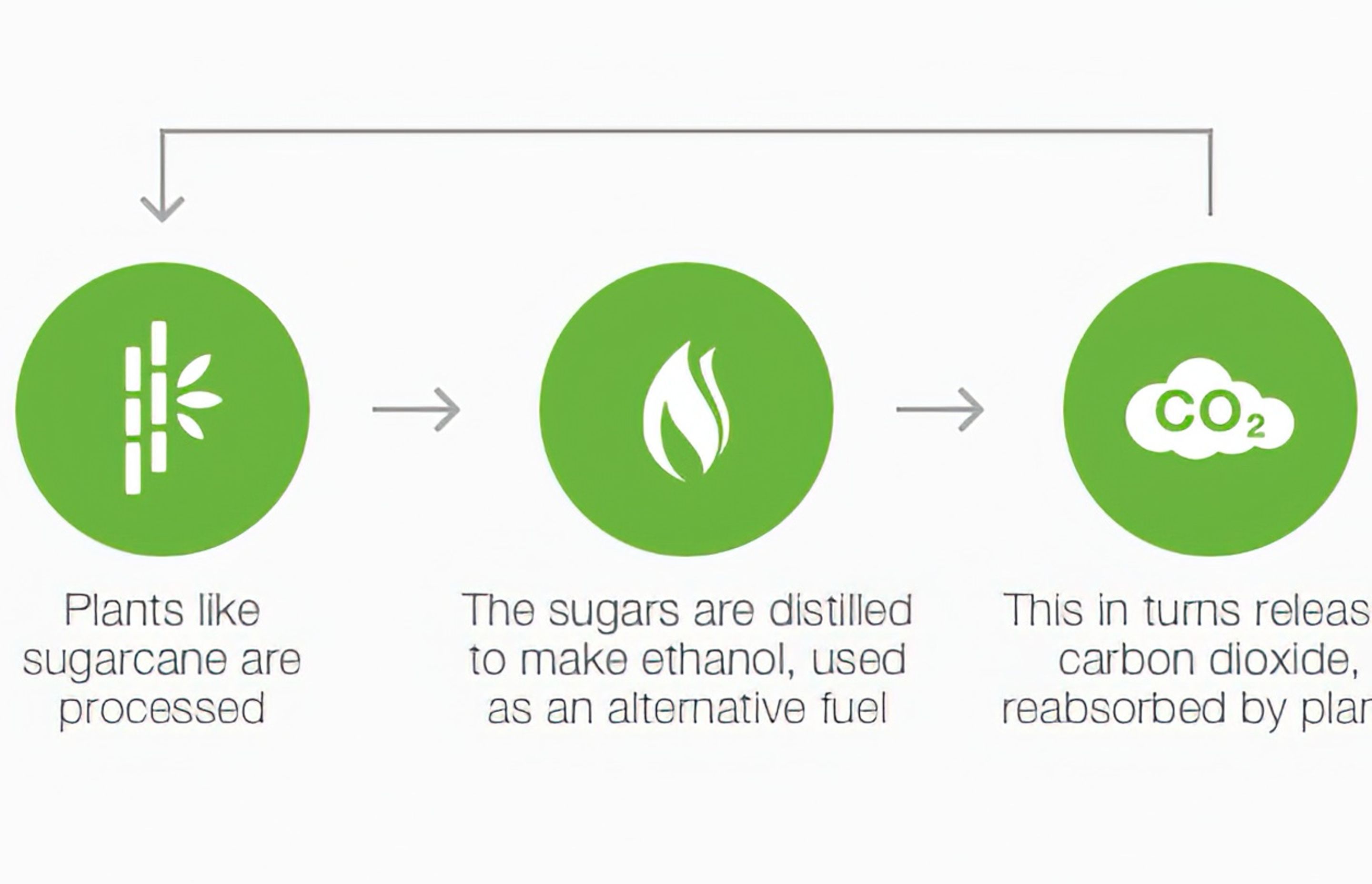 Why Bioethanol Fuel?