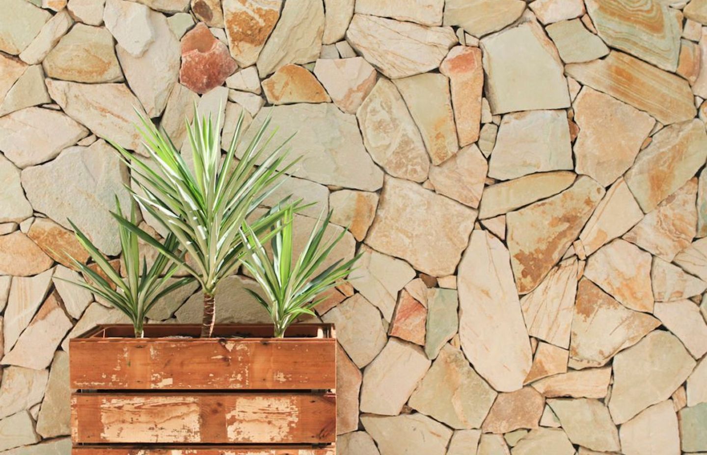Transform An Ugly Exterior Wall Into A Feature