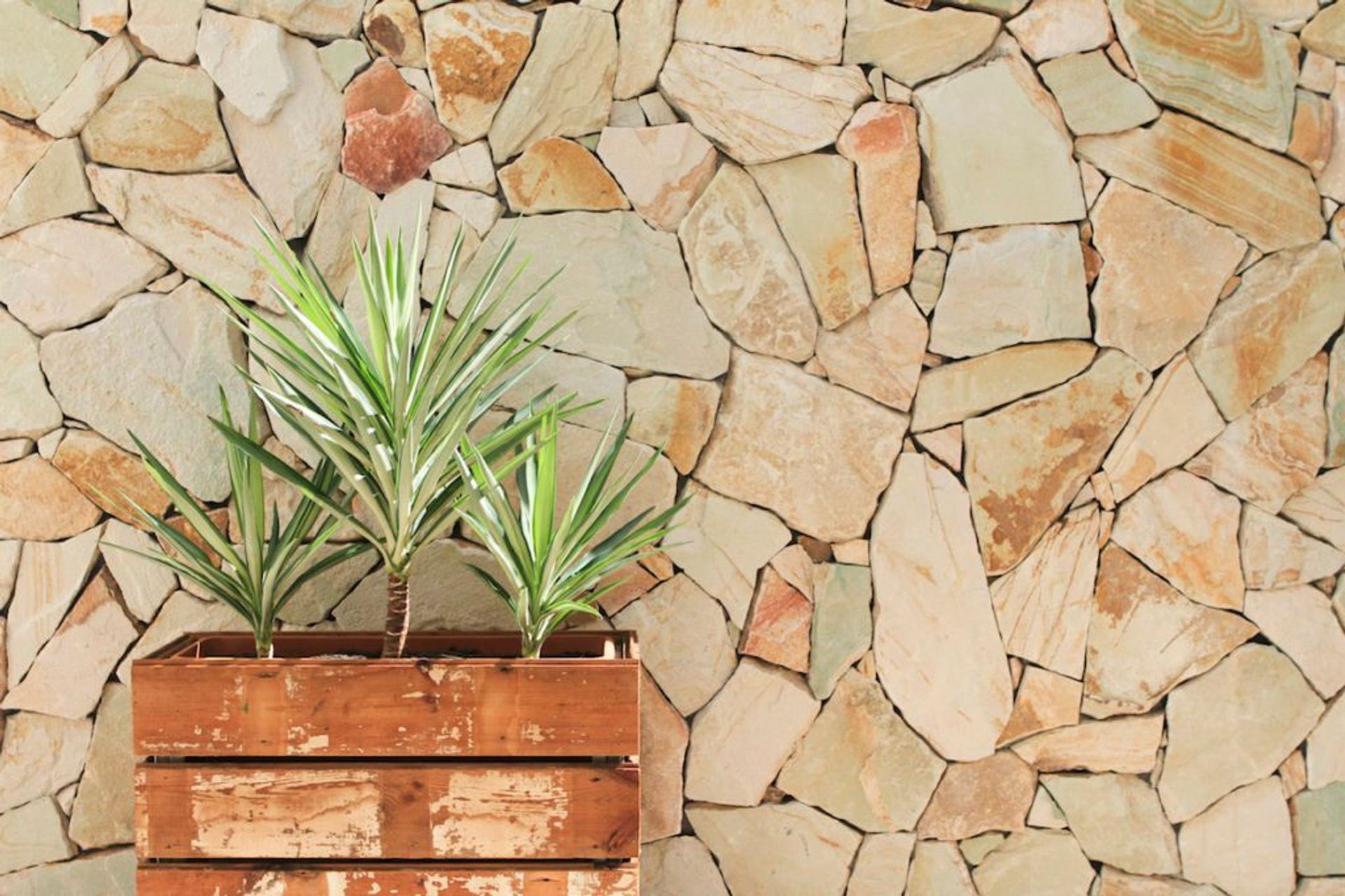 Transform An Ugly Exterior Wall Into A Feature