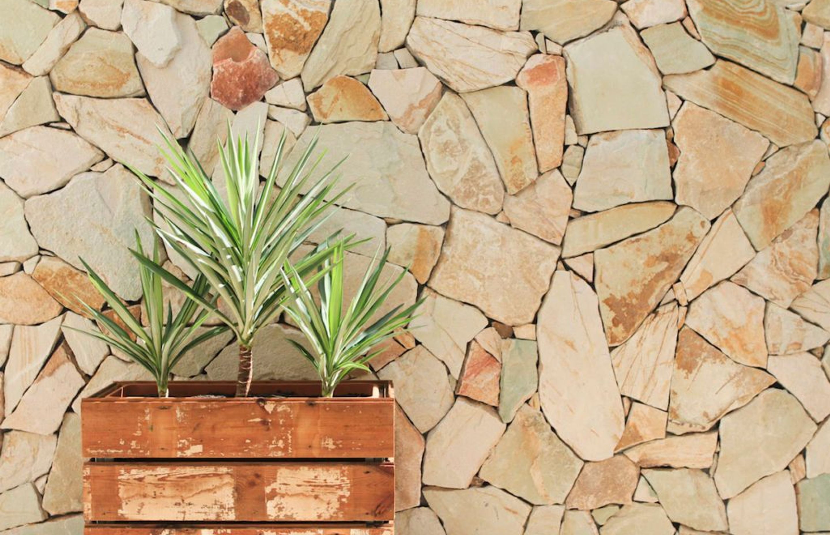 Transform An Ugly Exterior Wall Into A Feature