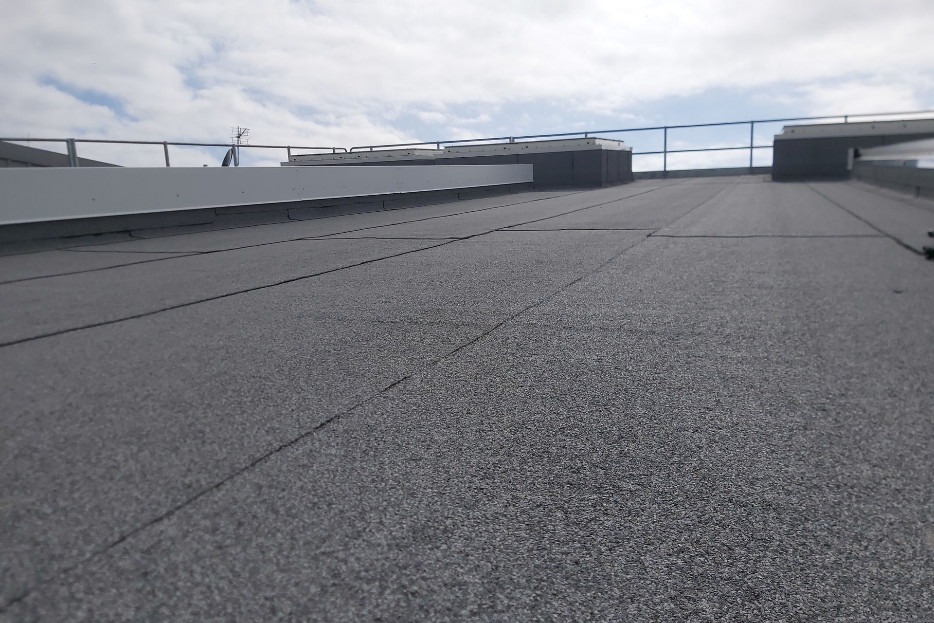 Case Study: Tōtara Haumaru – North Shore Hospital