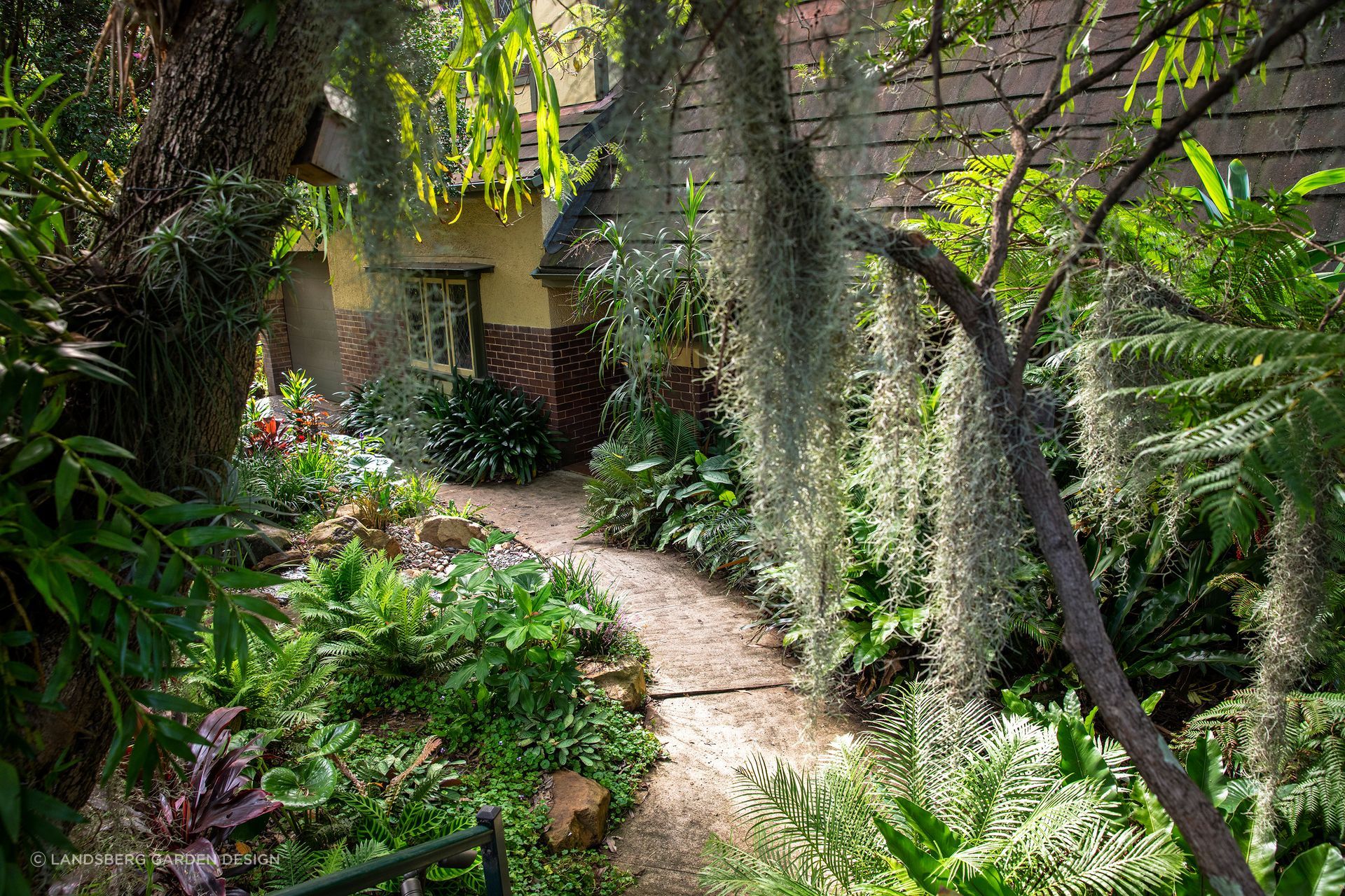 There are plenty of exotic plants available in Australia you can choose from to spruce up your garden