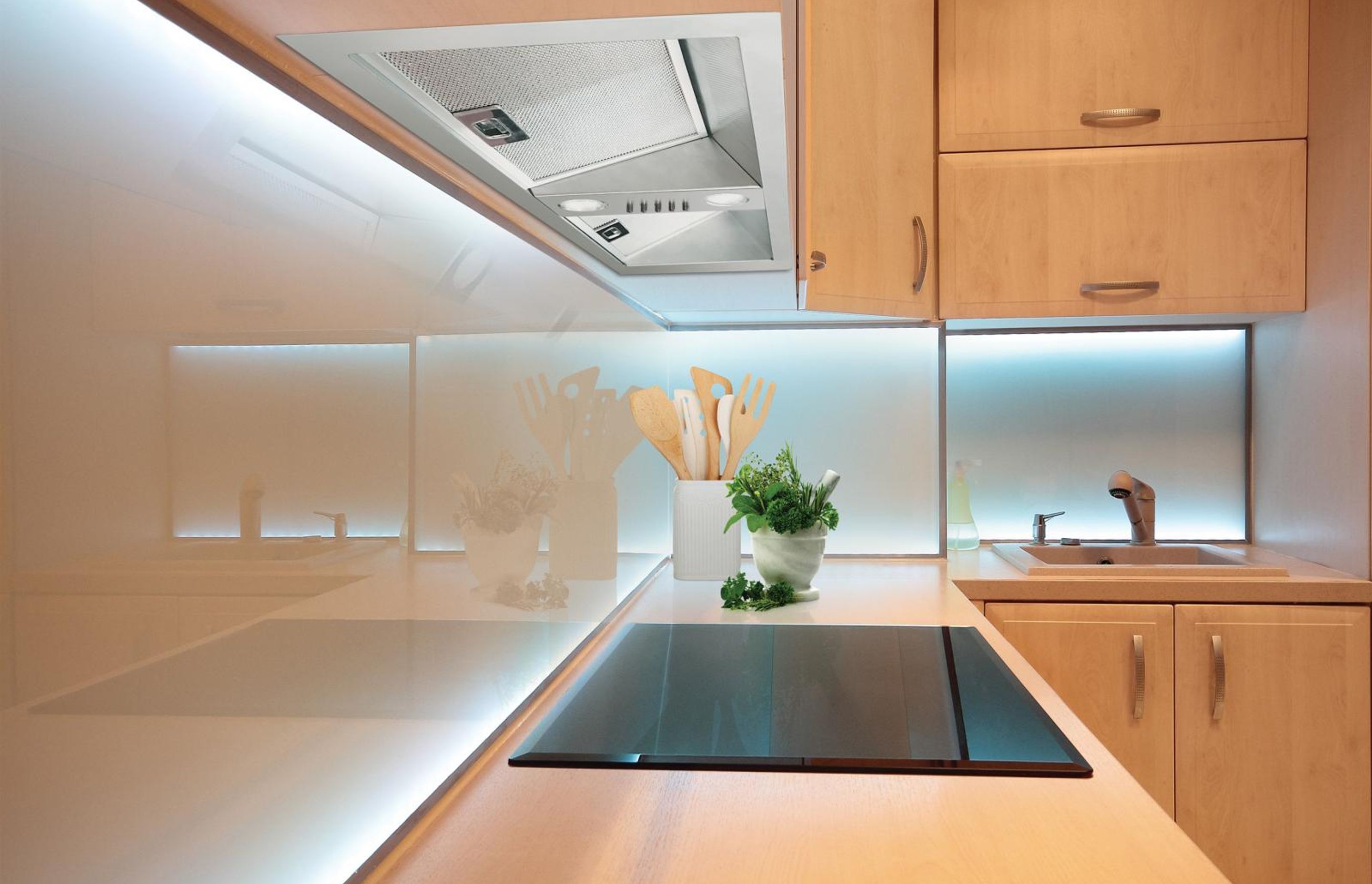 The sleek and modern range of Schweigen undermount rangehoods has been designed to complement any contemporary kitchen.