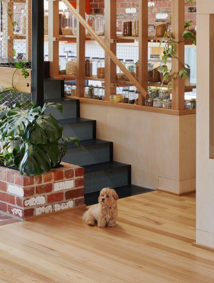 Gantry House by OOF! Architecture | Photography by Tatjana Plitt