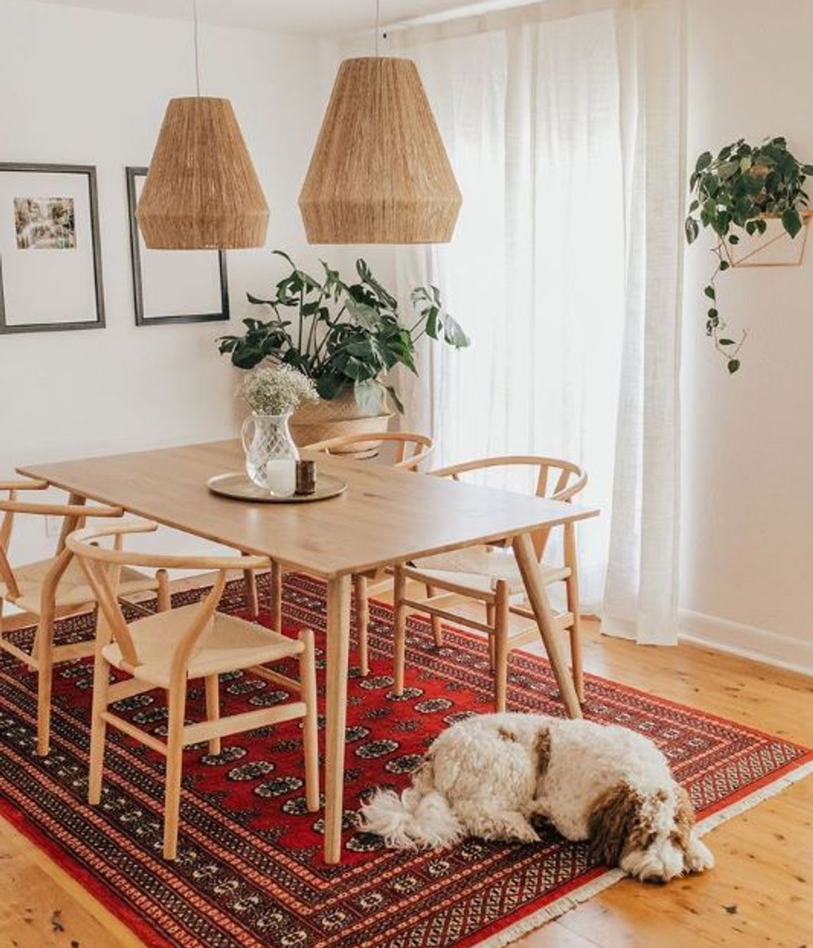 Styling your Dining Room Furniture on a Budget