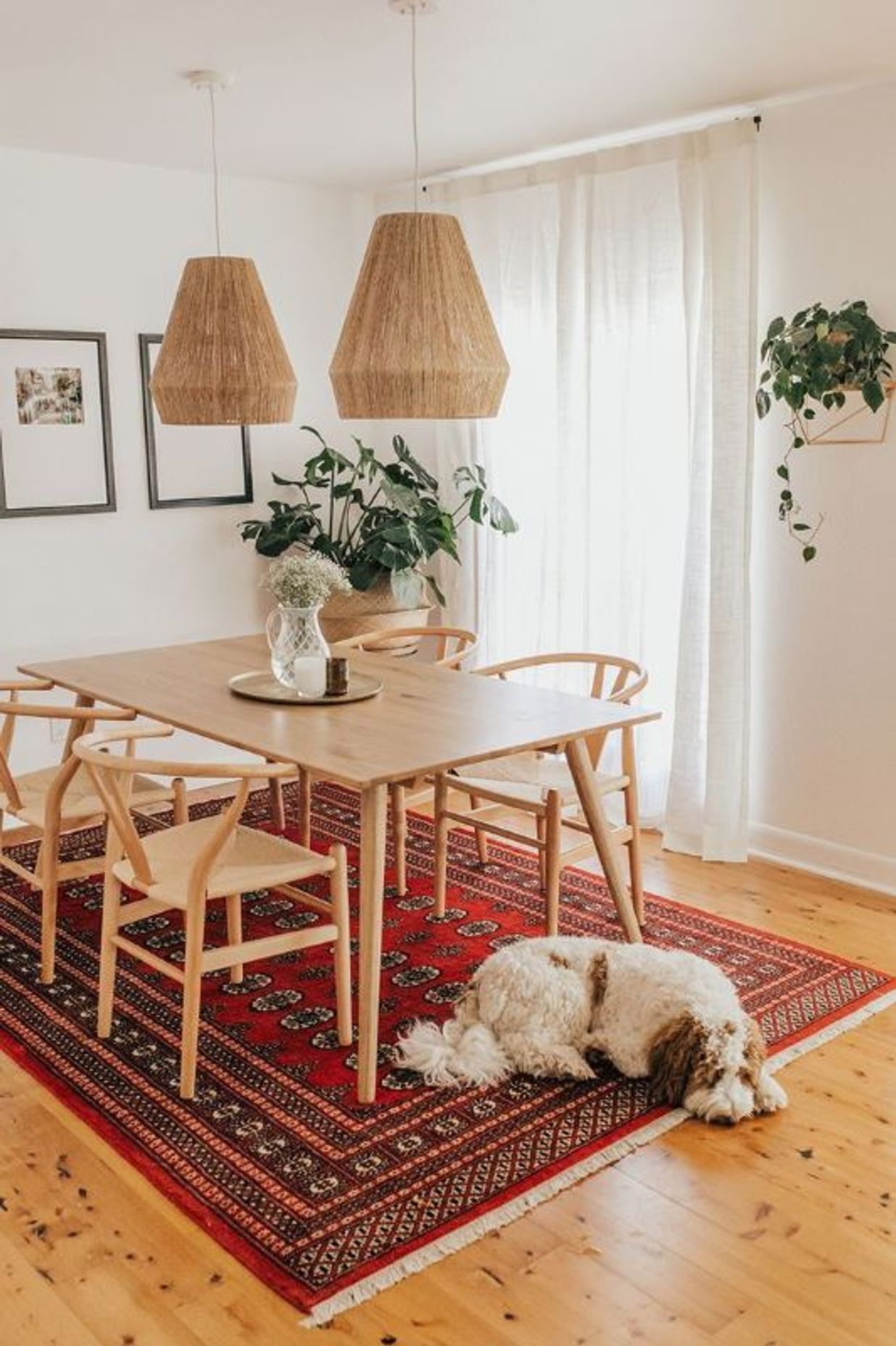 Styling your Dining Room Furniture on a Budget