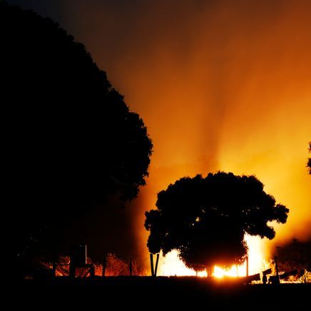 A changing climate: architecture in 2020 and beyond
