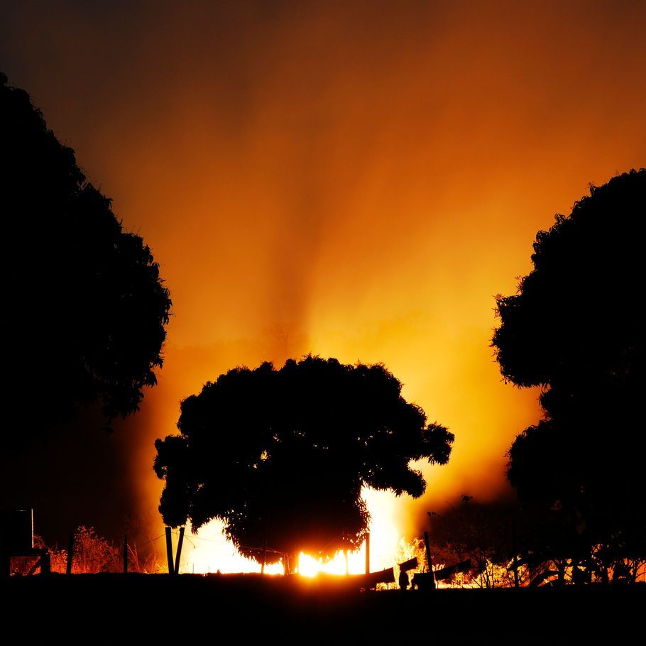 A changing climate: architecture in 2020 and beyond