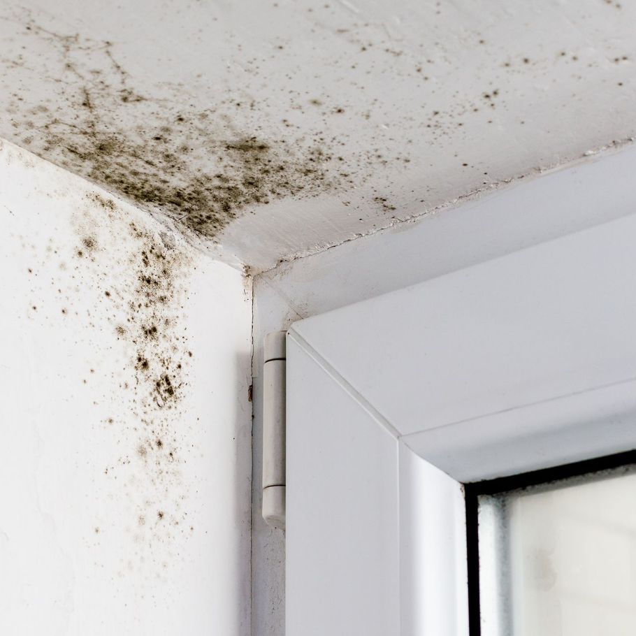 Unhealthy homes could swing election votes