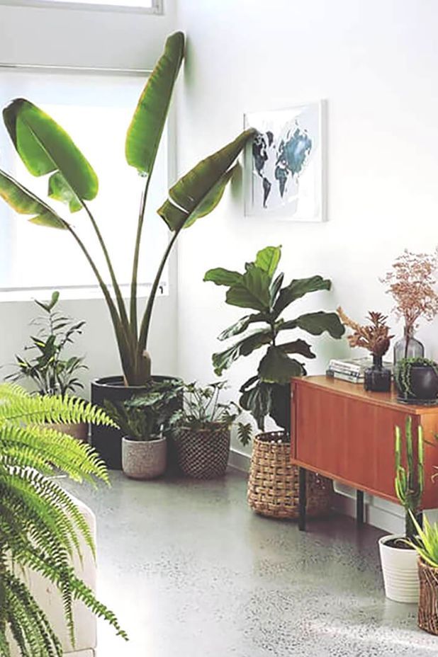 NATURE DOES IT BETTER – HOW SUSTAINABLE HOME BUILDERS EMBRACE NATURE