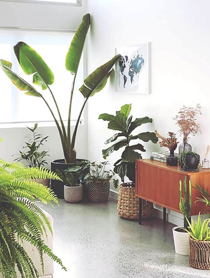 NATURE DOES IT BETTER – HOW SUSTAINABLE HOME BUILDERS EMBRACE NATURE