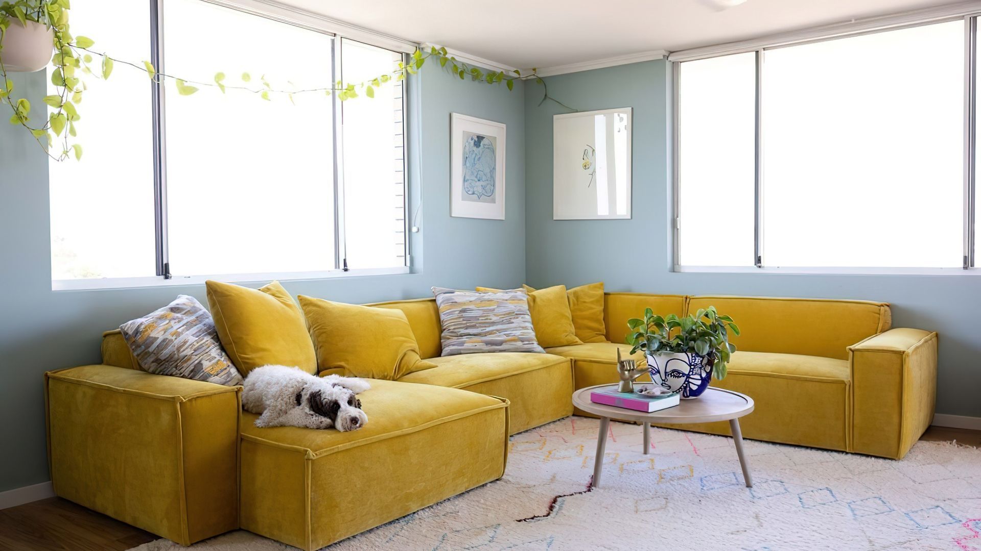 Harbro meets Celeste Barber video