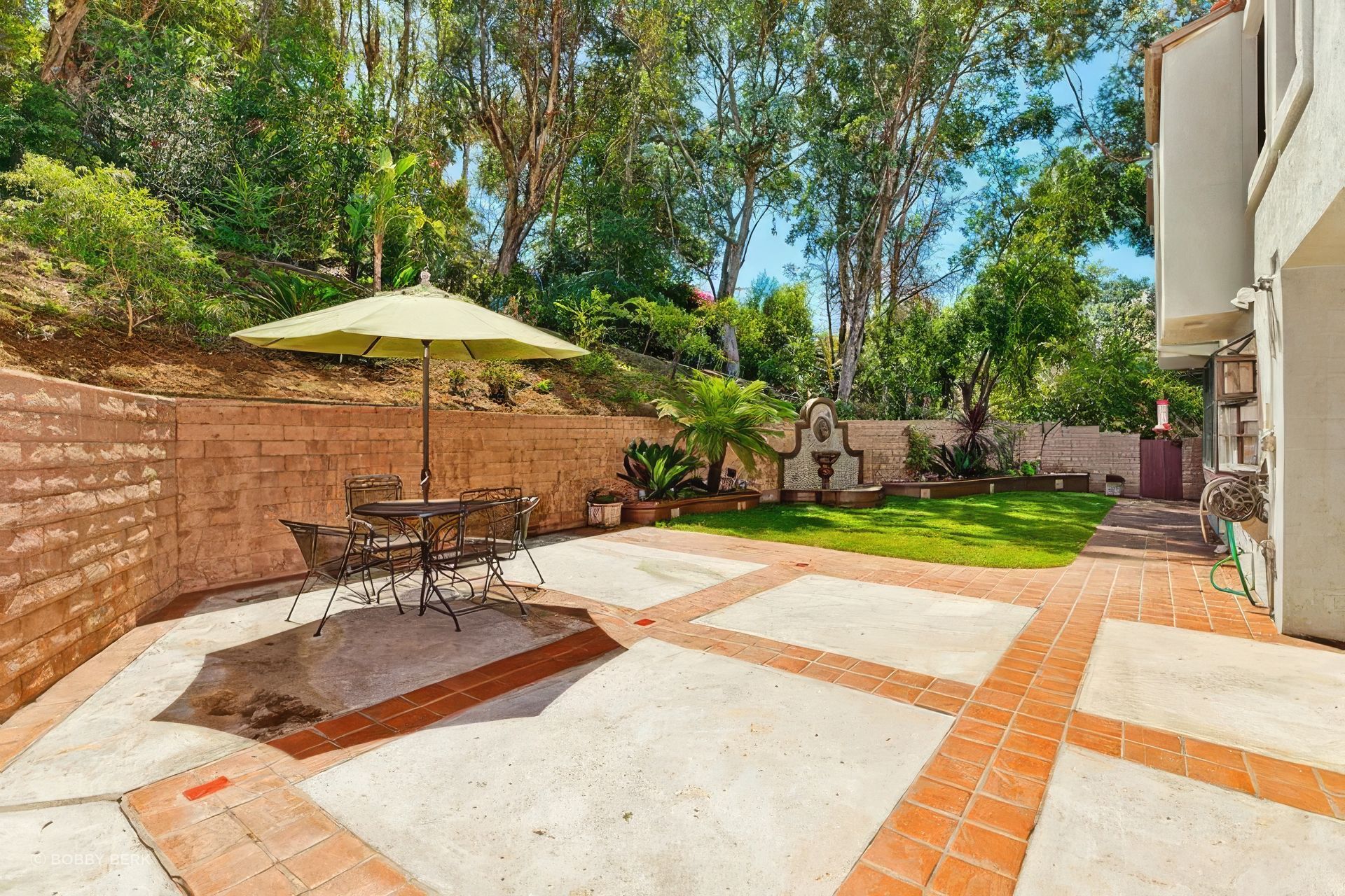 The backyard, before.