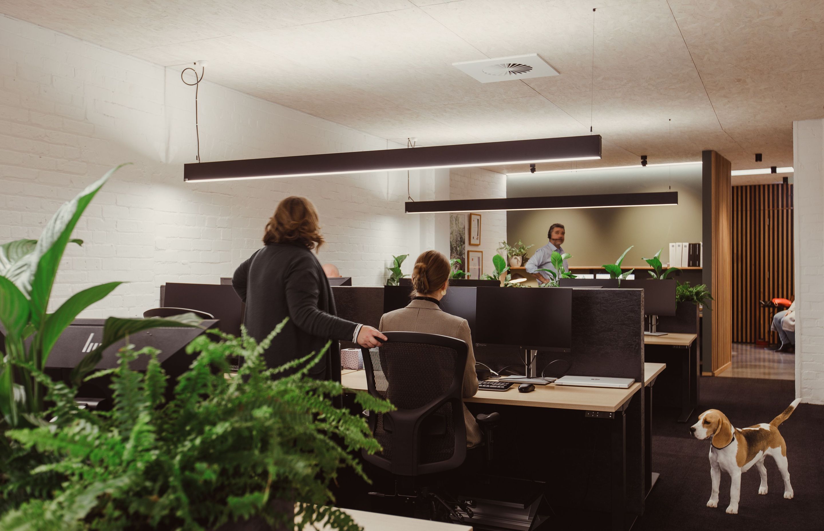 A Recently Completed Office Conversion in Hobart
